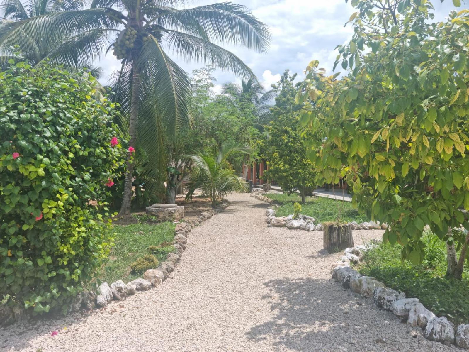 Hotel Bacalar Sunshine Zewnętrze zdjęcie